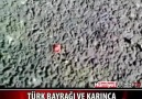 Türk Bayrağı ve Karınca Karıncanın Türk Bayrağı sevgisi