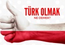 Türk demek