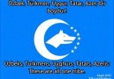 Turkestan ana yurt marşı english translation .
