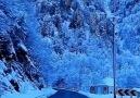 Turkish Dream - A Winter Wonderland Rize Turkey! Facebook