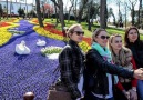 Turkish Dream - In the Homeland of Tulip! Facebook