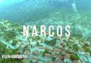 Turkish NarcosViaboraydemir