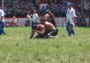 Turkish Oil Wrestling 2013