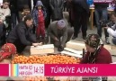 Türkiye Ajansı