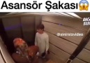 Türkiyede asansör şakası yapılırsa ne olur