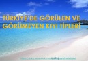 TÜRKİYE'DE GÖRÜLEN VE GÖRÜLMEYEN KIYI TİPLERİ