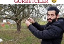 Türkiyedekilerin Gözünde Gurbetciler