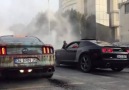 Türkiye'den Mustang üçlemesi