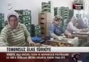 Türkiyede Tarım Nasıl Bitirildi (Tohumsuz Ülke Türkiye)