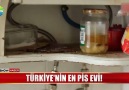 Türkiye&en pis evi! İşte o ev