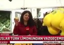 TÜRKİYE LİMONU RUSYANIN AĞZINI SULANDIRIYOR