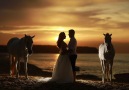 Türkiye'nin En Eğlenceli Düğün Hikayesi Arzu & Levent