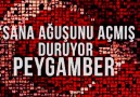 Türk kimdir ? Türk nedir ?