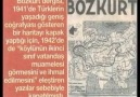 Türklüğün Simgesi &quotBozkurt"