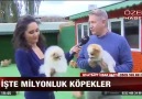 Türkmen Alaba iti Turkiye döwletini Atv habar kanalynda.