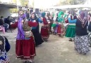 Türkmen Düğünü..Çürüklü..Dinar..Afyon