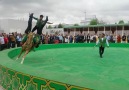 Turkmenistan Akhal Teke Gosteri Ekibi
