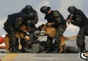 TÜRK OPERASYON TİMİ EZER GEÇER (Polis Özel Harekat)