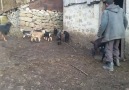 TÜRKÜ Diyari - O Geçen Günler Hiç Aklımdan Çıkmaz Facebook