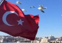 TÜRKÜ Diyari - Türkü diyarı Facebook