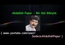 Türküler Özümüz - Abdullah Papur - Bir Dal Gibiyim