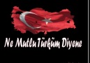 Türkün_Türküsü