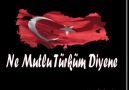 Türkün_Türküsü