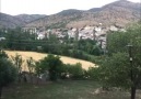 TÜRKÜ YoLu - Filiz agar