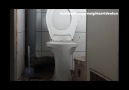 Tuvalete Torpil Atmak