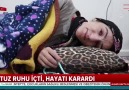 Tuz ruhu içti hayatı karardı