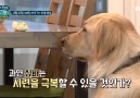 !! ! 1220 7 40 tvN