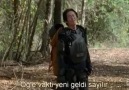 twd-4x15-p1