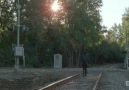 twd-4x13-p-2