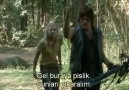 twd-4x12-p3