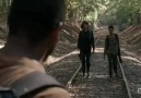 twd-4x13-p-3