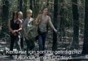 twd_6x6_P1