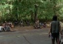 twd-5x10-p2