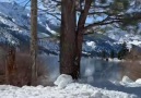 Twin Lakes is beautiful In the winter California & IG