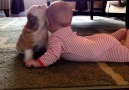 Two adorable babies and one of them is a bulldog.