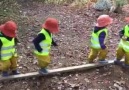 Two year old ForestKids working together.