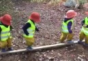Two year old ForestKids working together.