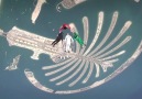 UAE  #NationalDay44