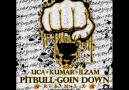 u.C.a & Kumar & İlzam - Pitbull & Goin Down [Remix]