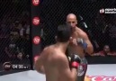 Uçan dirsek Hizmeti UFC