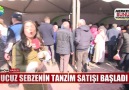 Ucuz sebzenin tanzim satışı başladı