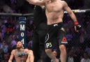 UFC - UFC 242 Khabib vs Poirier Facebook