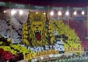 ultrAslan - 3 D Kareografi !!