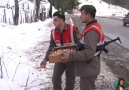 Uludağ Yolunda Sahipsiz Köpekleri Besleyen Türk Askerleri