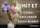 Ümit et! Çünkü ümit etmek sessiz duadır. Nur Hayat Şuara