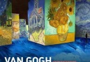 Ümran Akkan - Vincent Van Gogh &un &quotyıldızlı...